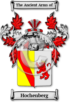 Hochenberg Family Crest Download (JPG) Legacy Series - 600 DPI