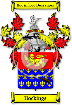 Hockings Family Crest Download (jpg) Legacy Series - 150 DPI