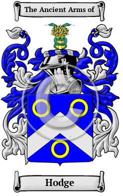 Hodge Family Crest Download (JPG) Heritage Series - 600 DPI