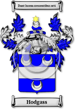 Hodgass Family Crest Download (jpg) Legacy Series - 150 DPI