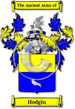 Hodgin Family Crest Download (JPG) Legacy Series - 600 DPI