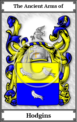 Hodgins Family Crest Download (JPG)  Book Plated - 150 DPI