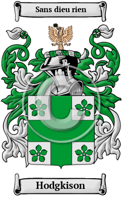 Hodgkison Family Crest Download (JPG) Heritage Series - 600 DPI