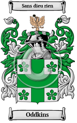 Oddkins Family Crest/Coat of Arms