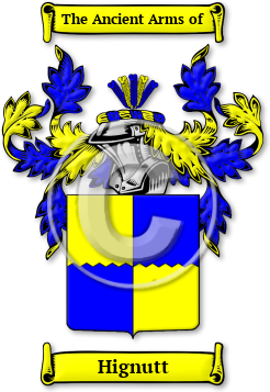 Hignutt Family Crest Download (jpg) Legacy Series - 150 DPI