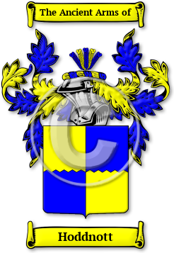 Hoddnott Family Crest Download (JPG) Legacy Series - 600 DPI