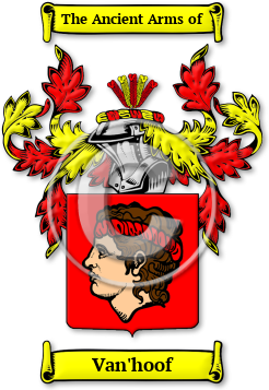 Van'hoof Family Crest Download (jpg) Legacy Series - 150 DPI