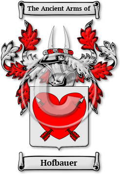 Hofbauer Family Crest Download (jpg) Legacy Series - 150 DPI