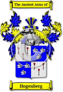 Hogenberg Family Crest Download (jpg) Legacy Series - 150 DPI