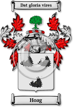 Hoag Family Crest Download (jpg) Legacy Series - 150 DPI