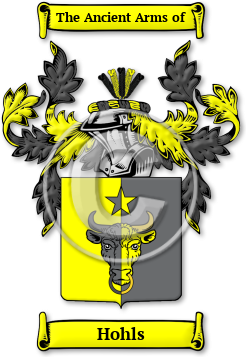 Hohls Family Crest Download (jpg) Legacy Series - 150 DPI