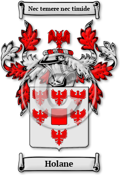Holane Family Crest Download (jpg) Legacy Series - 150 DPI