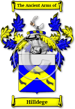 Hilldege Family Crest Download (jpg) Legacy Series - 150 DPI