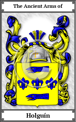 Holguín Family Crest Download (JPG)  Book Plated - 150 DPI