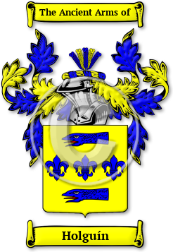 Holguín Family Crest Download (jpg) Legacy Series - 150 DPI