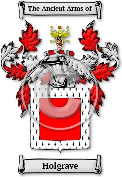 Holgrave Family Crest Download (JPG) Legacy Series - 600 DPI