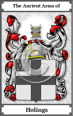 Holings Family Crest Download (JPG)  Book Plated - 150 DPI