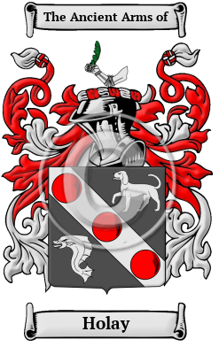 Holay Name Meaning, Family History, Family Crest & Coats of Arms
