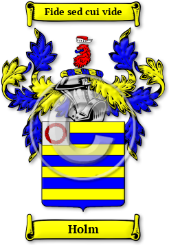 Holm Family Crest Download (jpg) Legacy Series - 150 DPI