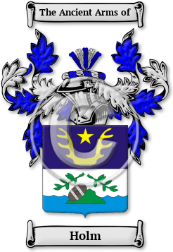 Holm Family Crest Download (jpg) Legacy Series - 150 DPI