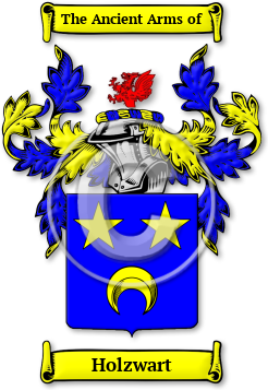 Holzwart Family Crest Download (JPG) Legacy Series - 600 DPI