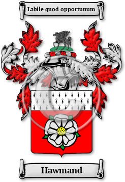 Hawmand Family Crest Download (jpg) Legacy Series - 150 DPI