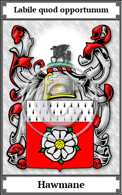 Hawmane Family Crest Download (JPG)  Book Plated - 150 DPI