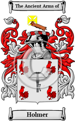 Holmer Family Crest Download (JPG) Heritage Series - 600 DPI