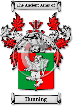 Hunning Family Crest Download (JPG) Legacy Series - 600 DPI