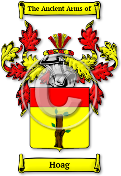 Hoag Family Crest Download (jpg) Legacy Series - 150 DPI