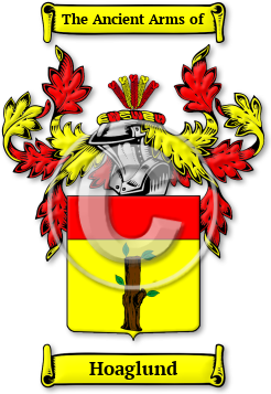 Hoaglund Family Crest Download (jpg) Legacy Series - 150 DPI