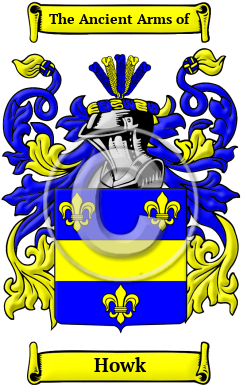 Howk Family Crest Download (JPG) Heritage Series - 600 DPI