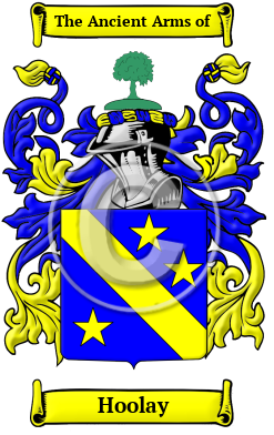 Hoolay Family Crest/Coat of Arms