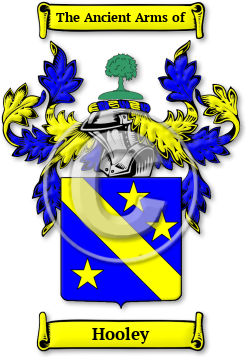 Hooley Family Crest Download (JPG) Legacy Series - 300 DPI