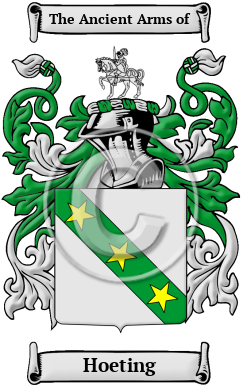 Hoeting Family Crest/Coat of Arms