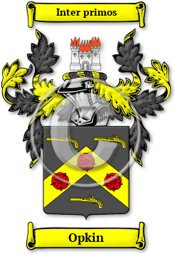 Opkin Family Crest Download (jpg) Legacy Series - 150 DPI