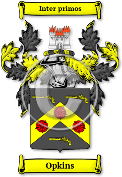 Opkins Family Crest Download (jpg) Legacy Series - 150 DPI