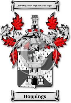 Hoppings Family Crest Download (JPG) Legacy Series - 600 DPI