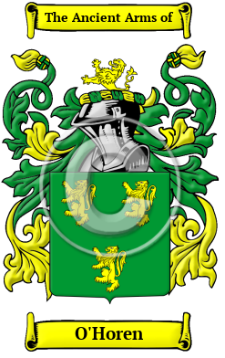 O'Horen Family Crest/Coat of Arms