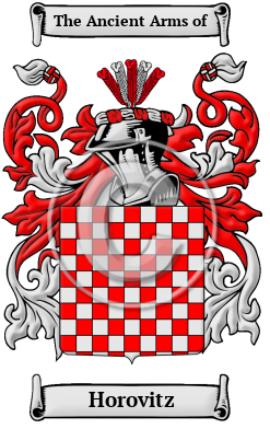 Horovitz Family Crest/Coat of Arms