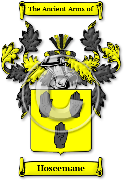 Hoseemane Family Crest Download (jpg) Legacy Series - 150 DPI