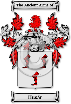 Husár Family Crest Download (JPG) Legacy Series - 600 DPI