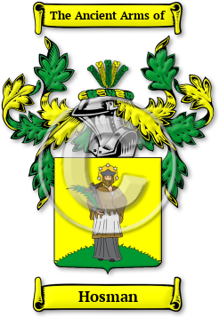 Hosman Family Crest Download (JPG) Legacy Series - 600 DPI