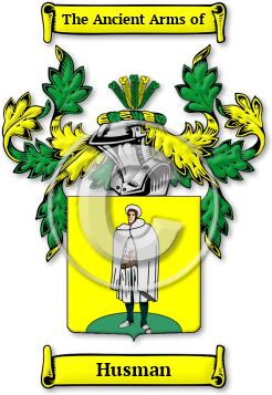 Husman Family Crest Download (JPG) Legacy Series - 600 DPI