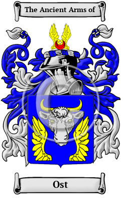 Ost Family Crest Download (JPG) Heritage Series - 600 DPI