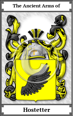 Hostetter Family Crest Download (JPG) Book Plated - 600 DPI