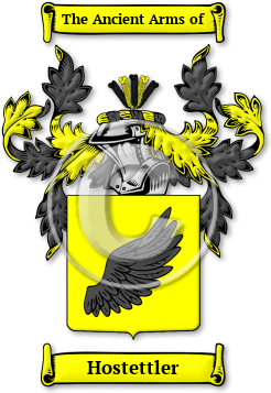 Hostettler Family Crest Download (jpg) Legacy Series - 150 DPI