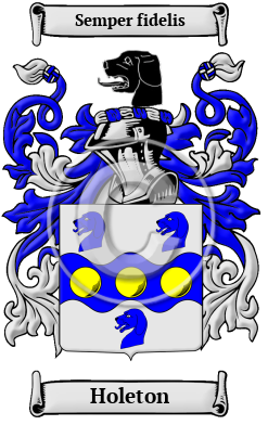 Holeton Family Crest Download (JPG) Heritage Series - 600 DPI