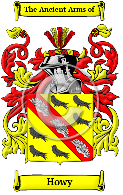 Howy Family Crest Download (JPG) Heritage Series - 600 DPI