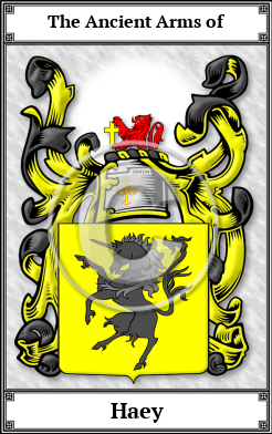 Haey Family Crest Download (JPG)  Book Plated - 150 DPI